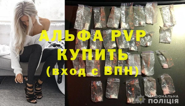 твердый Абаза