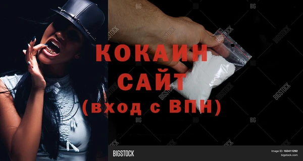 твердый Абаза