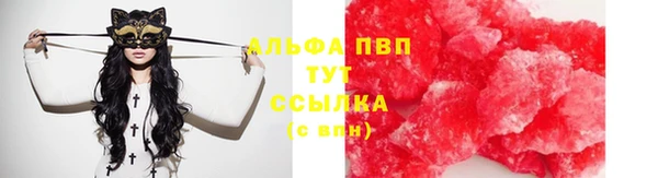 стаф Абинск