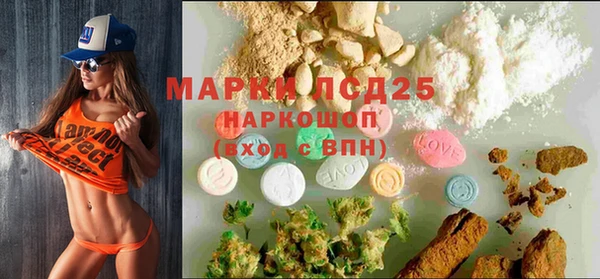 стаф Абинск