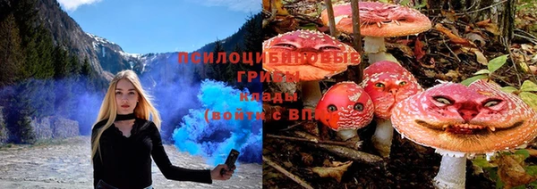 стаф Абинск
